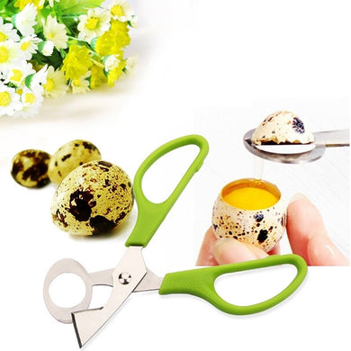 Egg Scissor Bird Cutter