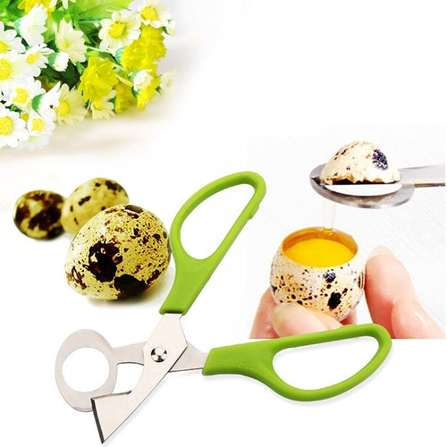 Egg Scissor Bird Cutter